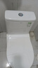 箭牌（ARROW）T32抽水马桶虹吸坐便器小尺寸座便小户型坐厕AEB12616M 305坑距 实拍图