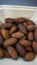 辽梦【销量20万+只】蚕蛹鲜活发货东北特产 新鲜茧蛹特级大黄蚕蛹蝉蛹 顶配黄蛹 净重500g【45-50只】 实拍图