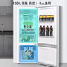新飞（Frestec）201升冷藏冷冻转换一级能效家用变温冷柜卧式冰箱冰柜以旧换新BC/BD-201KHAT 实拍图