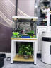 斯聚逅蓝鱼缸架子底柜家用鱼缸架子小中型鱼缸底柜水族箱底架钢木鱼缸底架 白色架+白色板(不含鱼缸) 加固 长60宽30高50 晒单实拍图