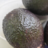 京鲜生秘鲁进口即食牛油果巨无霸4粒装 单果180g+ 生鲜水果源头直发包邮 实拍图