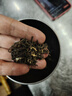 乐品乐茶茉莉花茶特级绿茶茶叶川派浓香型2025新茶春茶250g横县飘雪冷泡茶 实拍图