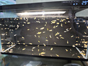 米家小米智能鱼缸 一体整机免装语音遥控半年免换水APP定时喂食水族箱 米家智能鱼缸 实拍图