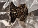 吴裕泰茉莉花茶 茉莉香茗 浓香型特种100g 七窨芽叶醇香 罐装 实拍图