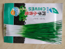【随种随吃】调料菜种子组合春季四季易种耐热阳台盆栽通种蔬菜 四季小香葱1包约1000粒 一包约1000粒 实拍图