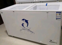 澳柯玛（AUCMA）560升家用商用大容量冰柜 卧式囤货大冰箱 冷藏冷冻转换单温顶开门冷柜 BC/BD-560TC 国家补贴 实拍图