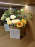 京东鲜花 向日葵仿真花假花摆件客厅餐桌花艺装饰ins风花束套装拍照道具 实拍图