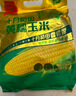 十月稻田 黄糯玉米4.4斤(220g*10根)  东北糯玉米 低脂礼盒 早餐杂粮 实拍图