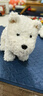 babycare&bctoys儿童毛绒玩具狗电子哈基米宠物玩偶节日生日礼物西高地犬 实拍图