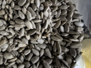 鲜窝窝 熟瓜子仁500g 原味去壳葵花籽仁五谷杂粮面包烘焙原料休闲零食 实拍图
