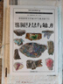 矿物与岩石图鉴 231种矿物与65种岩石的鉴别指南，纸上博物馆，矿石大百科！清晰彩图，通俗易懂 实拍图