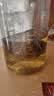 艺佰青提乌龙茶 水果花茶袋泡茶包办公茶可冷泡茶独立小袋锁鲜装25袋 实拍图
