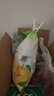 雀巢（Nestle）果维C+橙汁味840g/袋 富含维C 低脂果珍冲饮果汁粉 实拍图