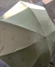 天堂 防紫外线晴雨伞三折 便携黑胶遮阳太阳伞晴雨两用 粉绿 实拍图