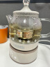 膳魔师（THERMOS） 迷你养生壶办公室煮茶器电水壶恒温电热水壶玻璃花茶壶养生杯 礼物 EHA-1602E -G 0.55L 实拍图