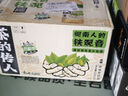 康师傅茶的传人 闽南人的铁观音茶 无糖茶饮料 整箱装500ml*15瓶 实拍图