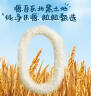 嘉宝（GERBER）高铁米粉婴幼儿辅食米糊原味250g 含DHA活性益生菌6月龄 实拍图