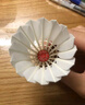 超牌蓝超1号羽毛球专业比赛鸭毛双拼耐打稳定12只装76速 实拍图