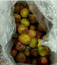 荔枝新鲜包邮桂味5斤水果广东当季荔枝白整箱西糖罂10斤顺丰 5斤 【实惠装】顺丰单果约15-20g 实拍图