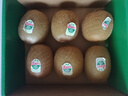 佳沛（zespri）绿奇异果经典果6粒 单果约86-103g   水果猕猴桃  源头直发 实拍图