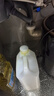 潜水艇厨房下水三通下水道三头通接头分水器洗菜盆水槽排水管防返臭神器 H.接水槽+净水器+小厨宝 实拍图