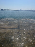 迷失海岸迷雾快艇/幽灵浑浊/香草拿铁/花生酱/象神/三倍IPA/美国进口精酿 热门口味 355mL 10瓶 (赠品牌杯*2) 实拍图