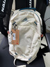GREGORY格里高利 NANO蜂鸟 男女旅行户外徒步背包登山包通勤双肩背包18L 18L-粉雾白（25年新款） 实拍图