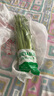 京鲜生 西芹 750g 简装 新鲜蔬菜 精选 实拍图