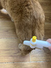 HELLOJOY猫梳子猫咪宠物排梳开结梳毛刷去浮毛针梳狗狗清理神器狗毛专用梳 实拍图