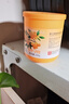 绿岛固体空气清新剂香薰香膏芳香剂卫生间厕所除臭味桂花190g*3盒 实拍图