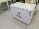 澳柯玛（AUCMA）323升低霜冰柜家用单温顶开门冷藏柜冷冻柜母乳小冰柜小型冰箱冷柜BC/BD-323NE国家补贴20% 实拍图