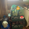 Perrier氼颂家巴黎水 进口气泡水【水哥推荐】青柠味矿泉水500ml*24瓶  实拍图