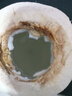 佳沃 JOYVIO泰国进口椰青香水椰子 9个装 大果900g+ 水果礼盒 水果 源头直发 实拍图