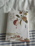 自营现货包邮 长安的荔枝 赠荔枝转运舆图 影视剧 腾讯视频 雷佳音 岳云鹏 主演 电影原著 大鹏导演 刘德华 杨幂 张若昀参演  马伯庸 见微系列历史小说 雷佳音618 雷佳音美食 实拍图