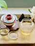 陈一凡冷泡茶白毫银针白茶云南银毫古树茶冷泡萃取独立茶包官方 实拍图