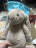 Jellycat害羞米色邦尼兔动物毛绒玩偶安抚公仔送礼潮玩娃娃生日新婚礼物 米色 Medium 实拍图