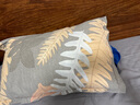 洁丽雅（Grace） 枕头枕芯纯棉一对新疆棉A类全棉纤维枕双人高弹舒适颈椎软枕 A类纯棉朴染 【中枕 一对装】 实拍图