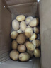 恩施小土豆新鲜马铃薯农家黄心洋芋现挖蔬菜马铃薯 9斤 大果 鹅蛋大小左右 实拍图