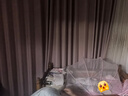 南极人婴儿蚊帐罩宝宝小床蒙古包全罩式防蚊罩儿童可折叠通用蚊帐粉色 实拍图
