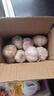 紫白皮蒜水果大蒜超市即食生鲜蔬菜大蒜 特价带箱 1斤 单果3.5-5cm 实拍图