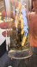 乐品乐茶高山绿茶黄山云雾特级2025新茶茶叶明前浓香型春茶散装自己喝500g 实拍图