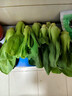 上海青500g(油菜) 实拍图