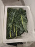 羽衣甘蓝新鲜生鲜蔬菜嫩叶甘兰芥蓝西餐沙拉榨汁减肥减脂山姆同款 羽衣甘蓝闺蜜2斤装 实拍图