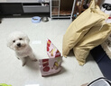 麦富迪狗粮 鲜肉夹心双拼狗粮 鱼油乳钙羊奶夹心成犬幼犬全犬种全价犬粮 【补钙壮骨】乳钙夹心狗粮10kg 实拍图
