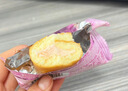 达利园瑞士卷草莓味720g礼盒装学生充饥零食点心(新老包装随机发货) 实拍图