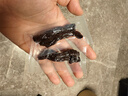 三只松鼠轻风干牛肉干400g 五成干 内蒙古风味 手撕厚切牛肉棒 休闲零食  实拍图