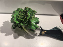 三生花百雀羚洗发露精油香氛去屑止痒洗发水500ml持久留香洗头膏男女士 实拍图