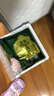 蒙豚 有机草原黑猪 (80%瘦肉)肉馅 1.4斤 饺子馅土猪肉生鲜冷冻 实拍图