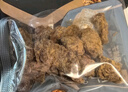良品铺子 牛肉粒五香味98g肉干肉脯 牛肉干独立小包装休闲零食 实拍图
