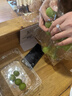 【产地直采】阳光玫瑰青提约500g 单果8g+ 实拍图